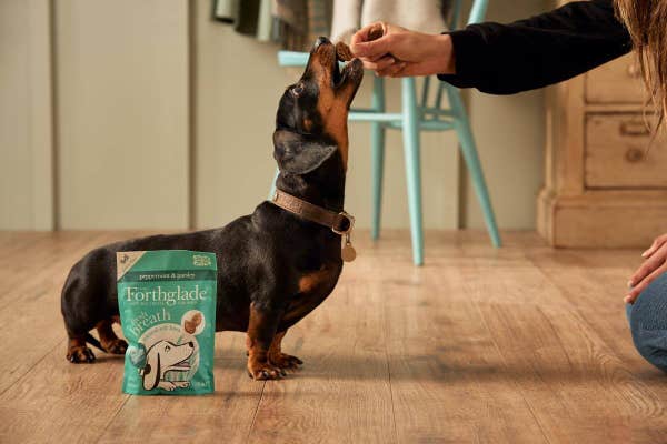 100586_-_functional_soft_bite_treats_fresh_breath_90g_lifestyle_giving_treat_-_copy_1_3c4sxxrzymy9dsel.jpg