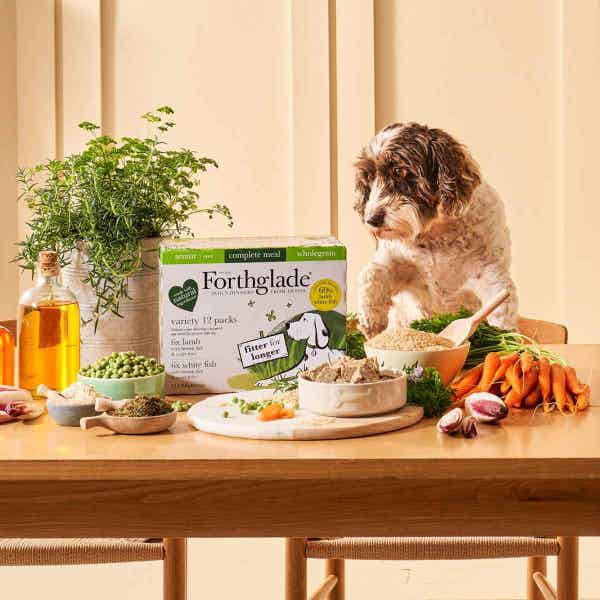 100833_-_senior_wholegrain_complete_brown_rice_variety_12x395g_lifestyle_table_and_dog_1_oo8vthcw0dj1ecdj.jpg