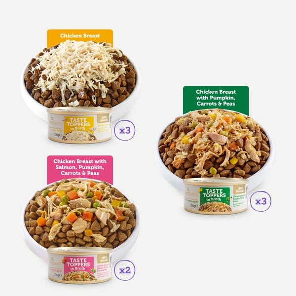 applaws_taste_toppers_natural_wet_dog_food_broth_selection_8x156g_3__1viglqhmczp2feap.jpg