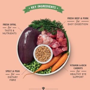 beef_supper_3ay6kprawpkspfdd.jpg