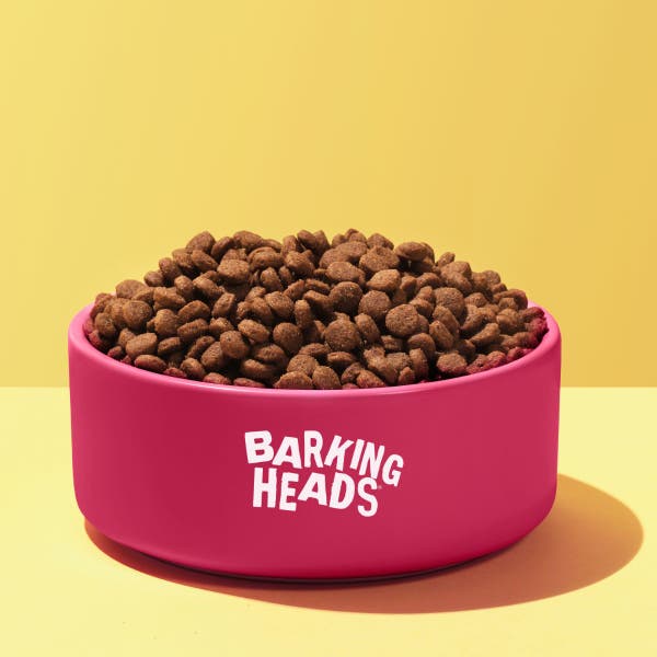 bhahpdt-64-all-hounder-puppy-days-kibble-bowl-shot.jpg