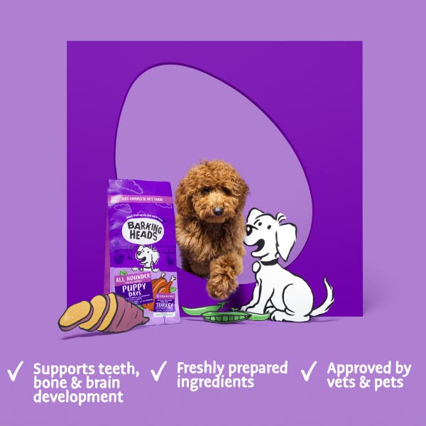bhahpdt-67-all-hounder-puppy-days-product-benefits.jpg