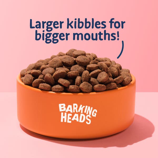 blbck124-big-foot-bowl-lickin-chicken-kibble-bowl-shot.jpg