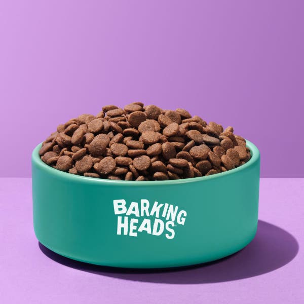 blt24-all-hounder-fat-dog-slim-kibble-bowl-shot.jpg