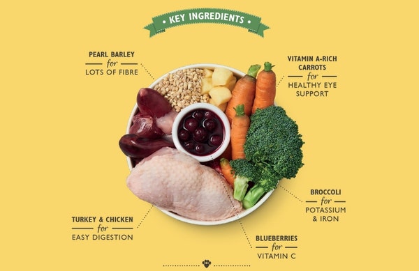 chick_turkey_casserole_1_y54vwdurqvm87vum.jpg