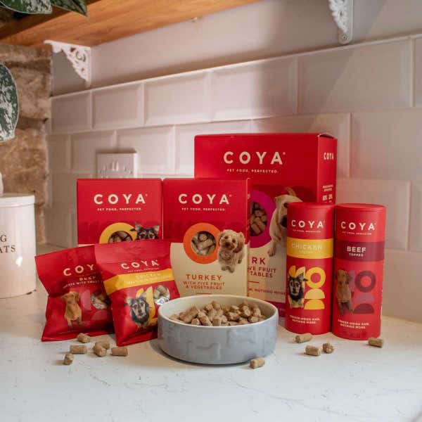 coya_products_group_2_1_1.jpg