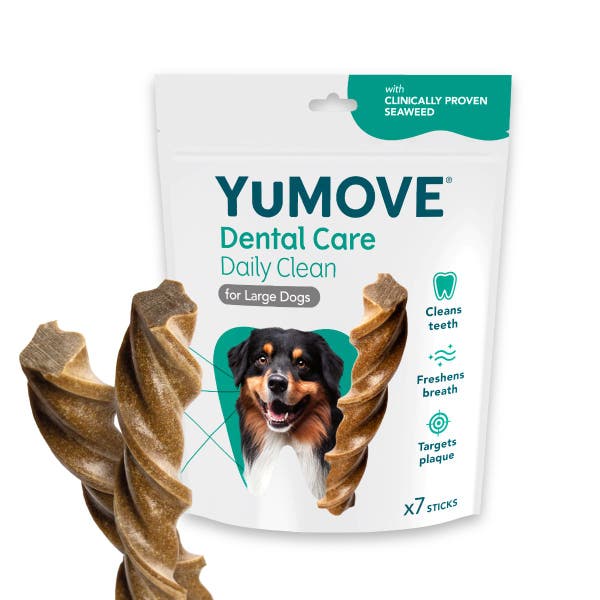 denta_daily_clean_large.jpg