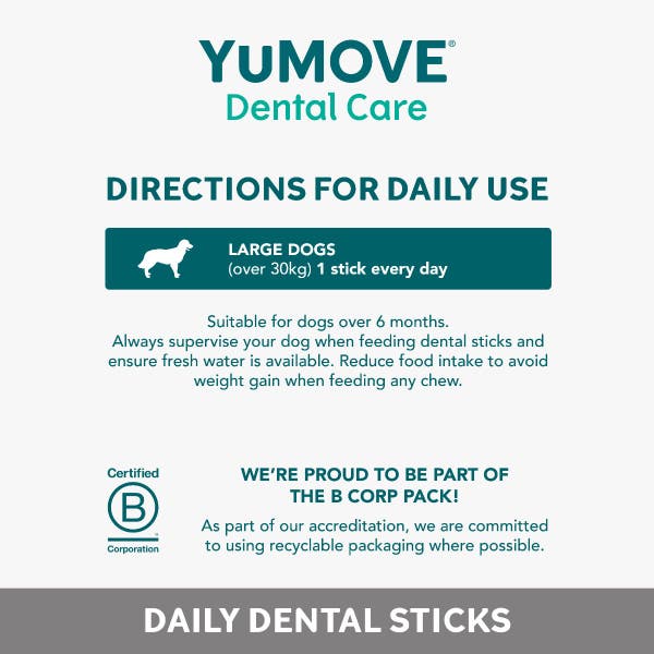 denta_daily_clean_large_5.jpg