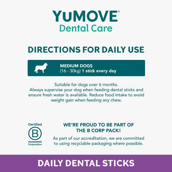 denta_daily_clean_medium_5.jpg