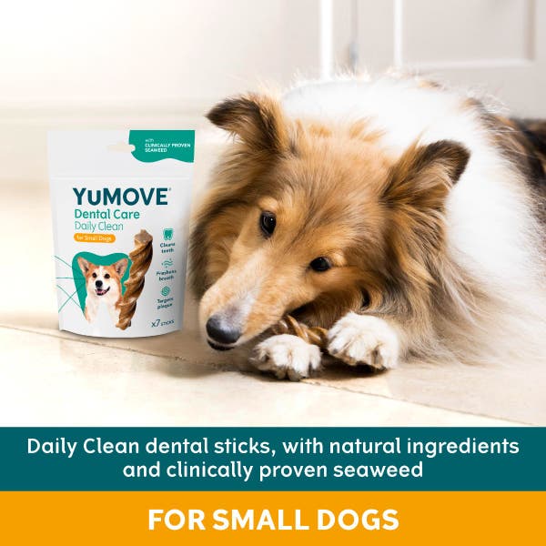 denta_daily_clean_small_2.jpg