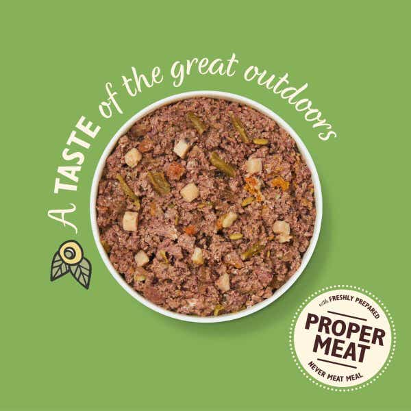 dog_wet_tin_wildcampfirestew_product_shot_dwc5_b8ypk5rx9ra1j9qi.jpg