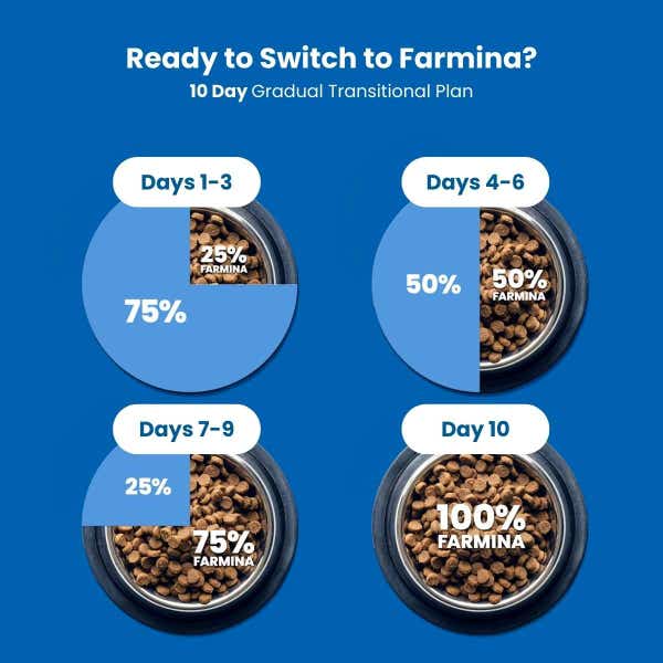 farmina_10_day_transitional_plan_1_8.jpg