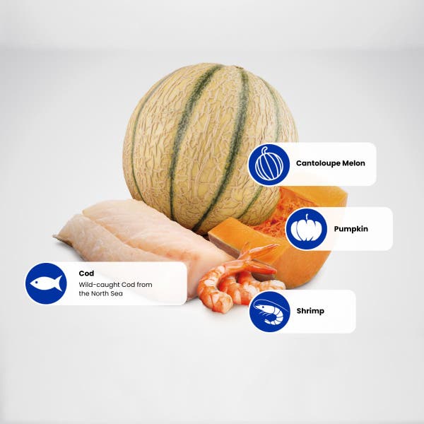 farmina_nd_ocean_protein_sources_-_cod-melon-shrimp-pumpkin.jpg