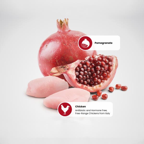 farmina_nd_prime_protein_sources_-_pomegranate-chicken.jpg