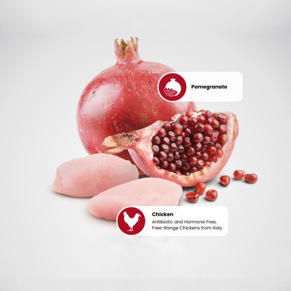 farmina_nd_prime_protein_sources_-_pomegranate_-_chicken.jpg