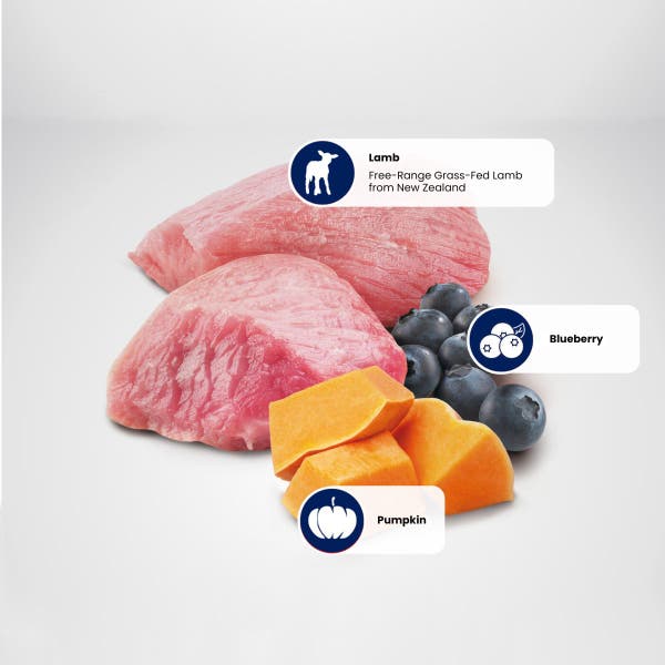 farmina_nd_pumpkin_lamb_blueberry_protein_sources_1.jpg