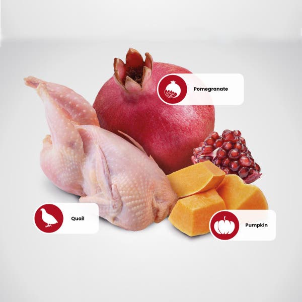farmina_nd_pumpkin_quail_protein_sources.jpg