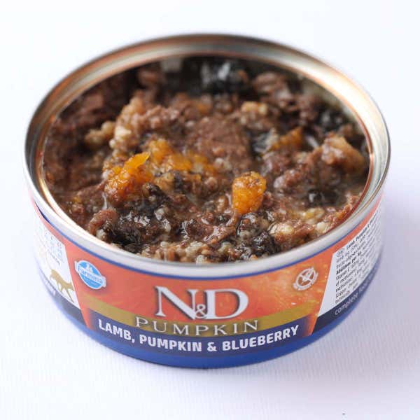 farmina_nd_pumpkin_wet_cat_lamb_blueberry_food.jpg