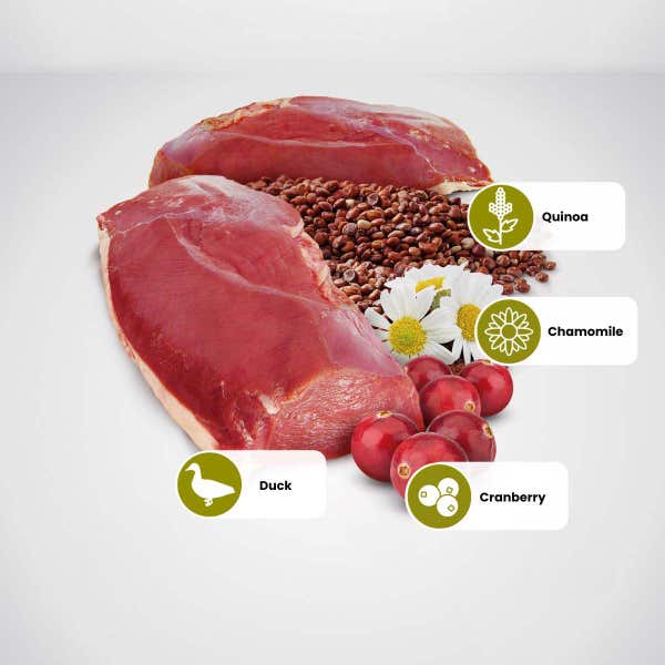 farmina_nd_quinoa_urinary_adult_cat_duck_cranberry_protein.jpg