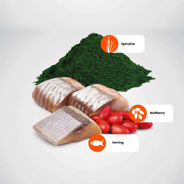 farmina_nd_spirulina_herring_protein_sources.jpg