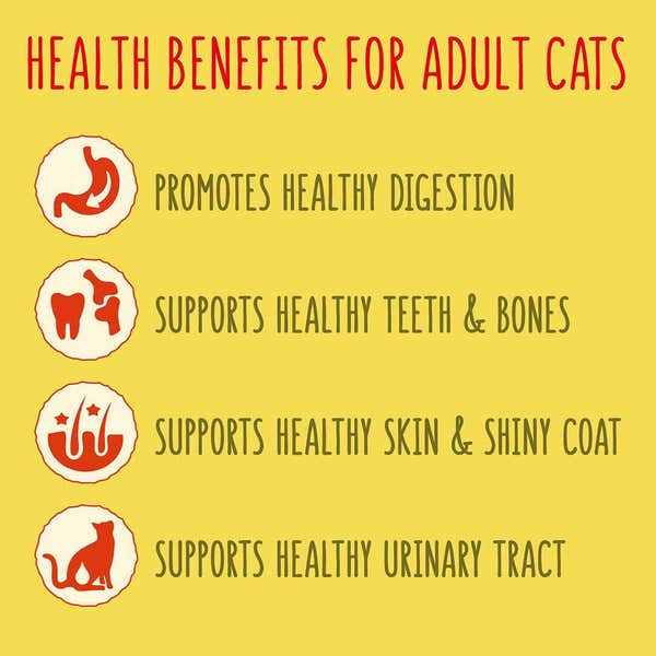 go_cat_atf_adult_l_6_-_copy_2_v1ayjcvoco9qeo2r.jpg