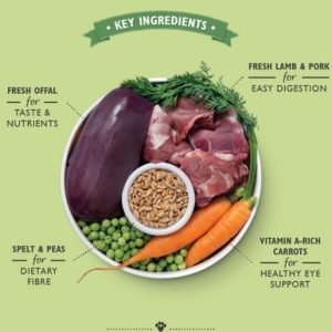 lamb_supper_wwjoqqyko5gbinw1.jpg