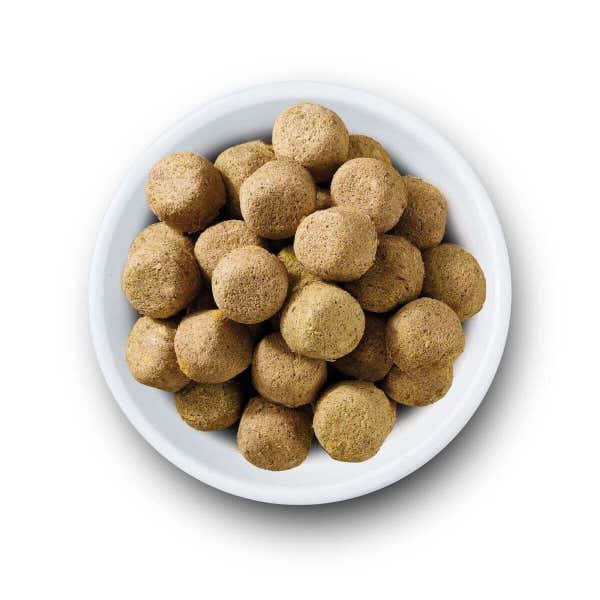 nvfdmils_nvfdmil_-_freeze_dried_complete_food_lamb_1_fad17zdwdwycwmcn.jpg