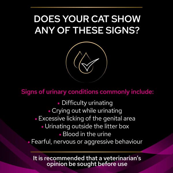 purina_urinary_wet_food_pouch_3_1_xmes7s0zqmnwlwjw.jpg