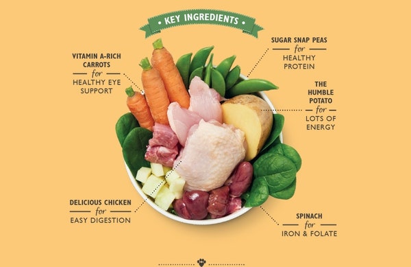 sunday_lunch_1_umyjg0cxfsudwqjk.jpg