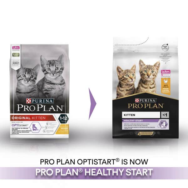 t60_pro_plan_kitten_healthy_start__1_1.5kg_qflz3cvd5wvymblh.jpg