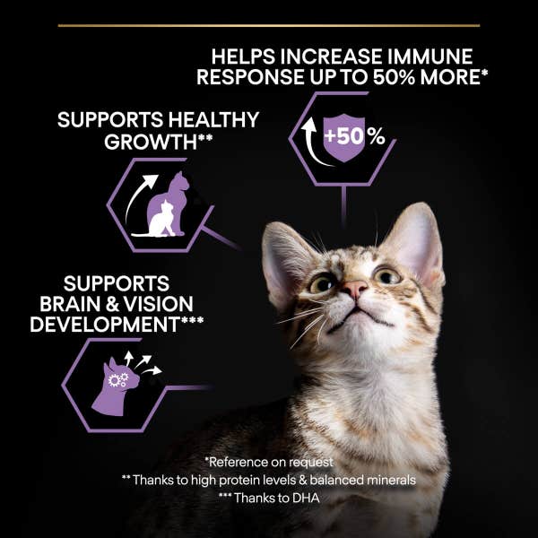 t61_pro_plan_kitten_healthy_start__1_1.5kg_d8tgmo0qhd9sjmuk.jpg