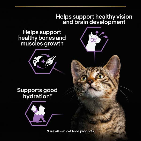 t61_pro_plan_kitten_with_turkey_in_gravy_10_x_85g__850g__aipfdrmtmfzuawad.jpg