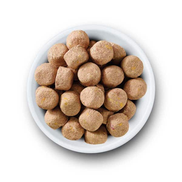 tibd_nvfdmib_-_freeze_dried_complete_food_beef_1_gfcmwq7ff6wiqjyz.jpg